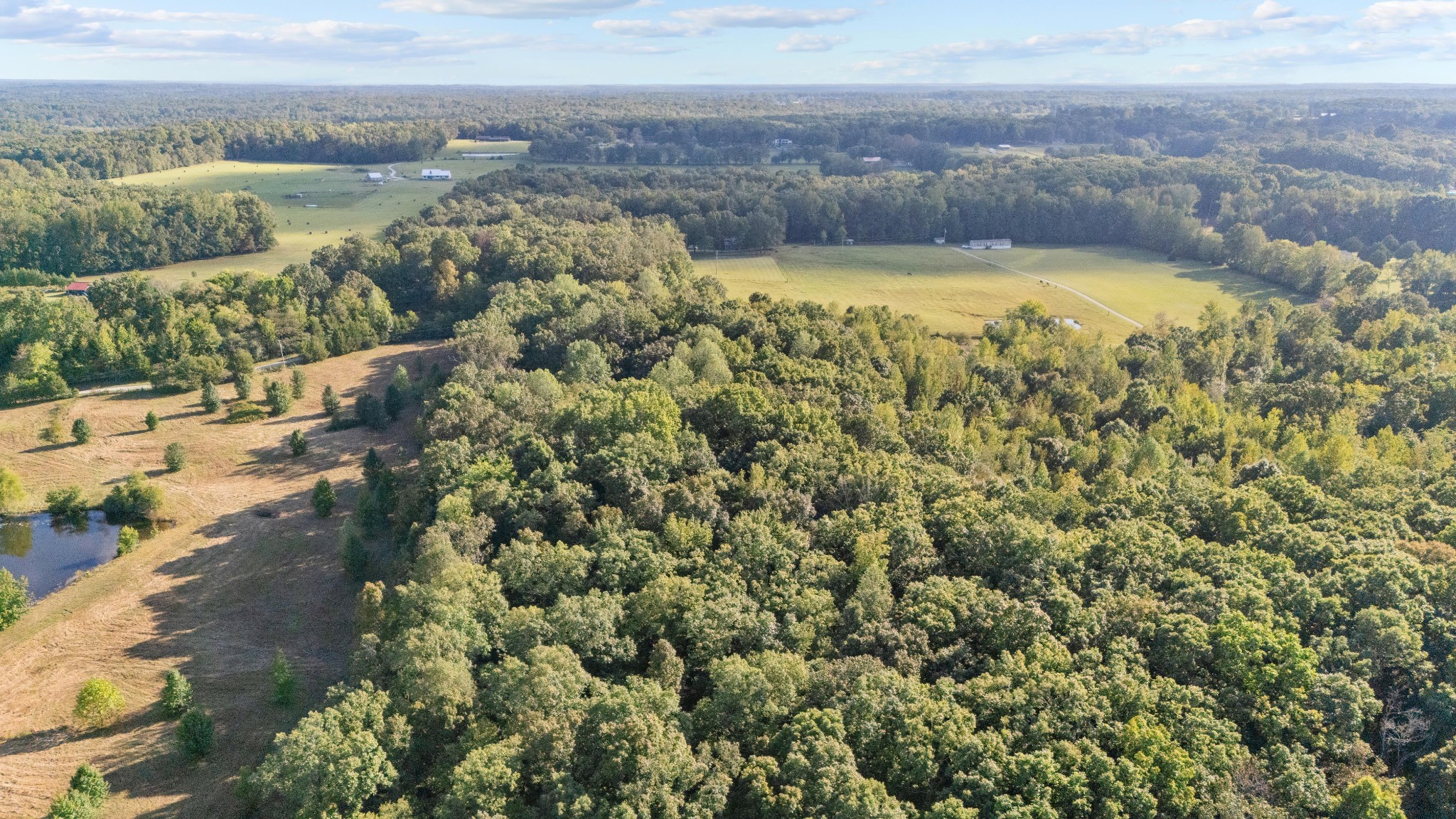 1127 Pruett Road Dickson, TN 37055 - Photo 28 of 39 an aerial view of residential houses with outdoor space