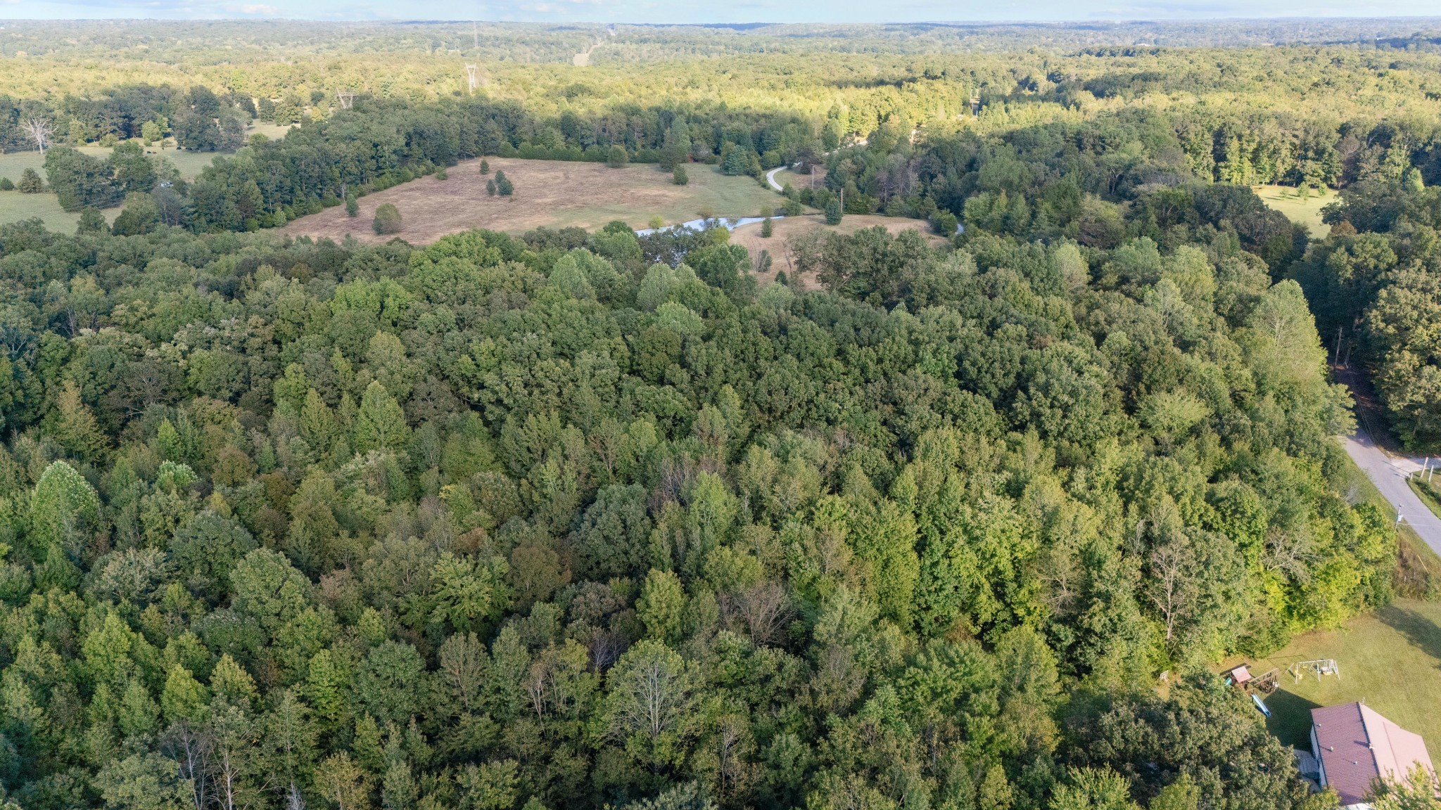1127 Pruett Road Dickson, TN 37055 - Photo 30 of 39 an aerial view of residential houses with outdoor space and trees