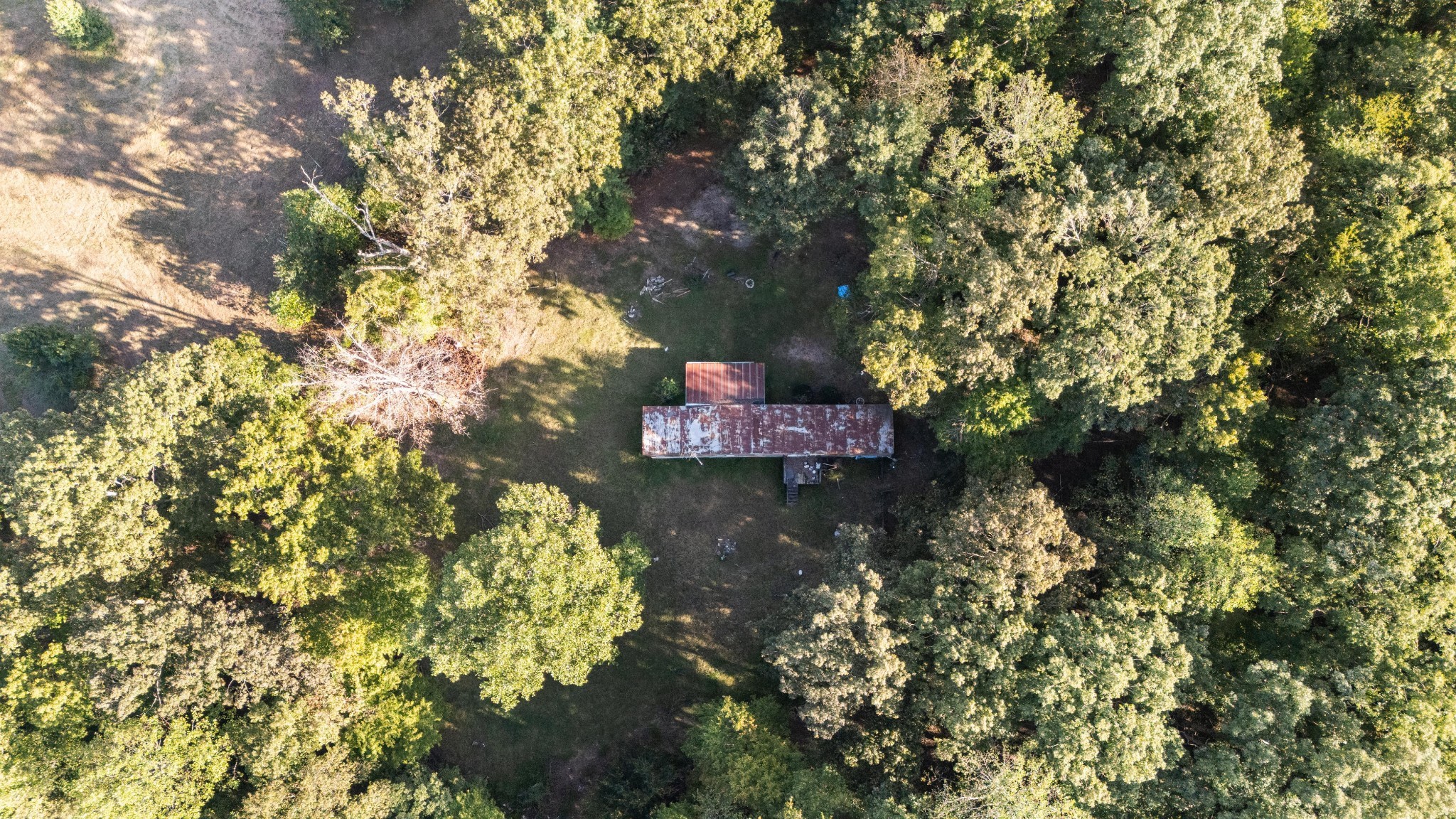 1127 Pruett Road Dickson, TN 37055 - Photo 8 of 39 a picture of trees