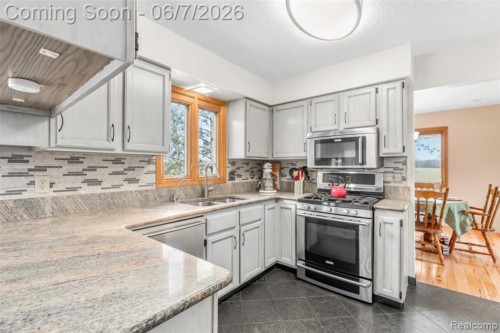 15395 Osius Road Chelsea, MI 48118 - Photo 10 of 55