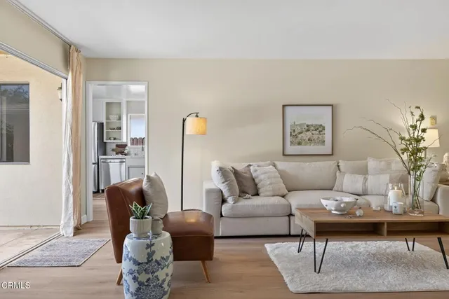 a living room with furniture and a potted plant