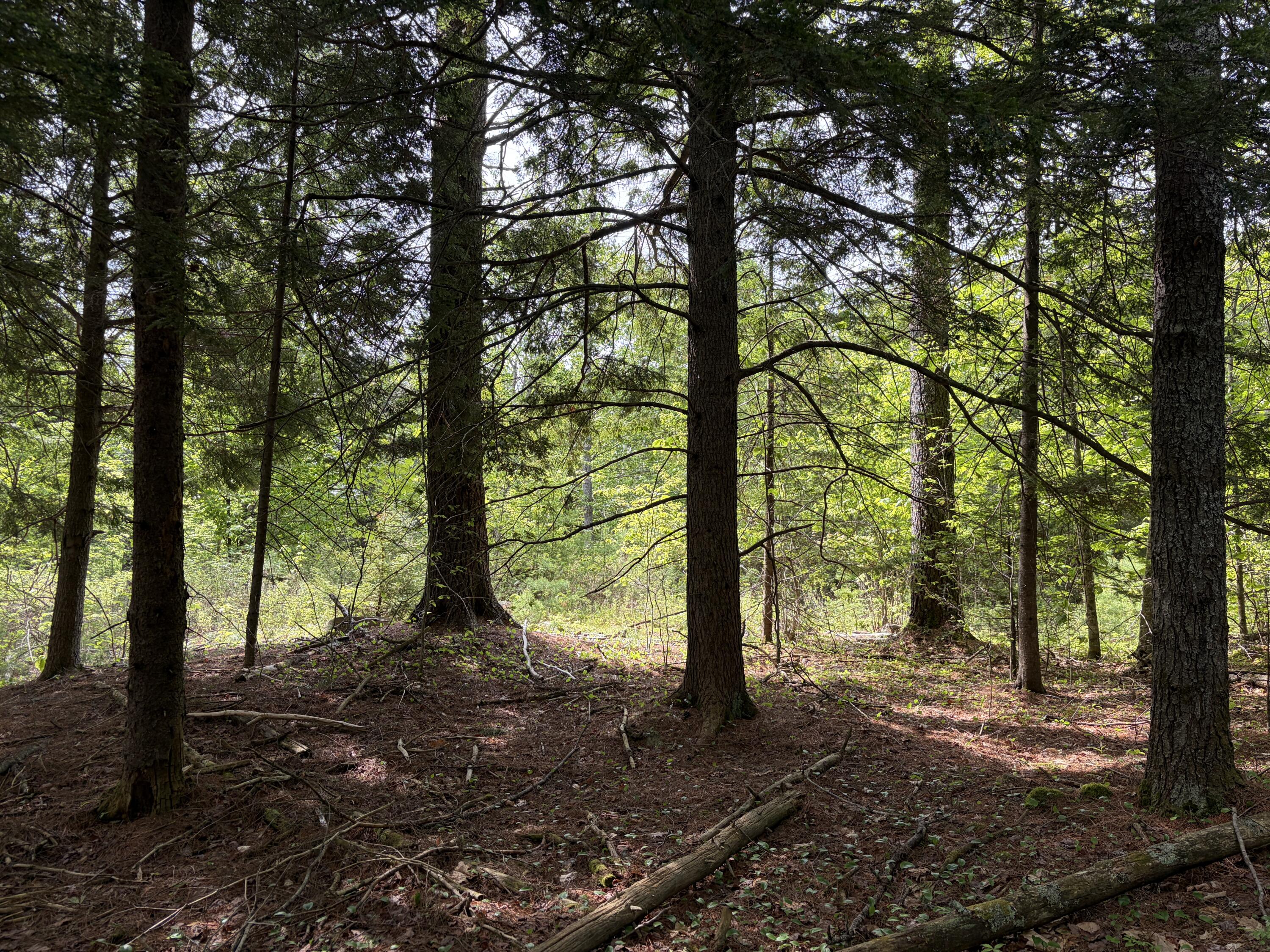 Lot 1 Waldoboro Road Washington, ME 04574 - Photo 10 of 39