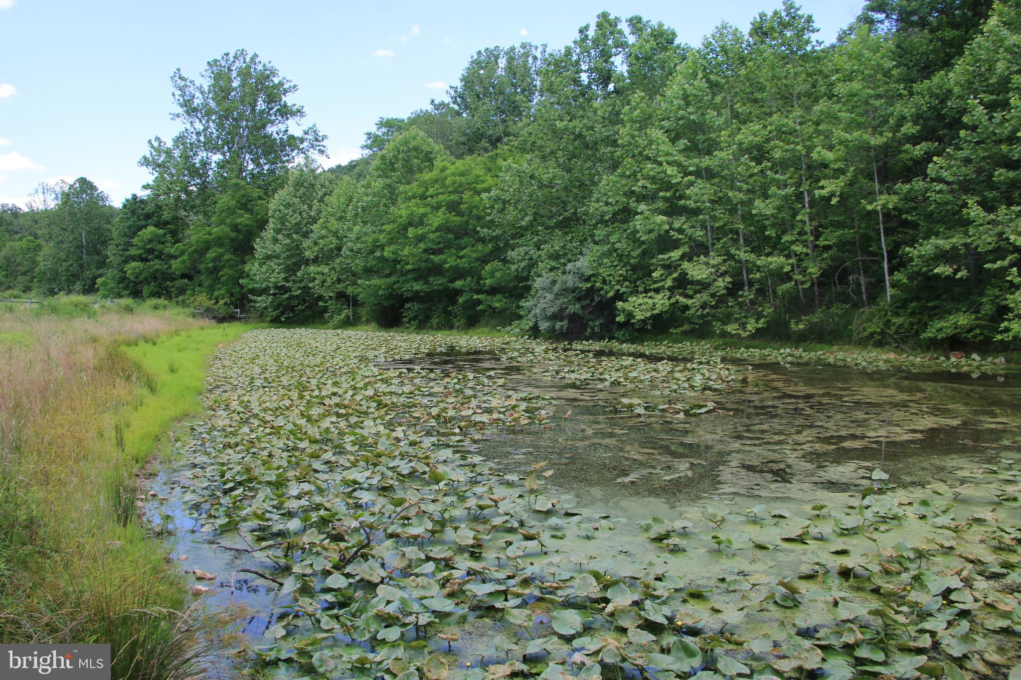 2332 Alum Springs Road Basye, VA 22810 - Photo 55 of 93 Gallery Image 55