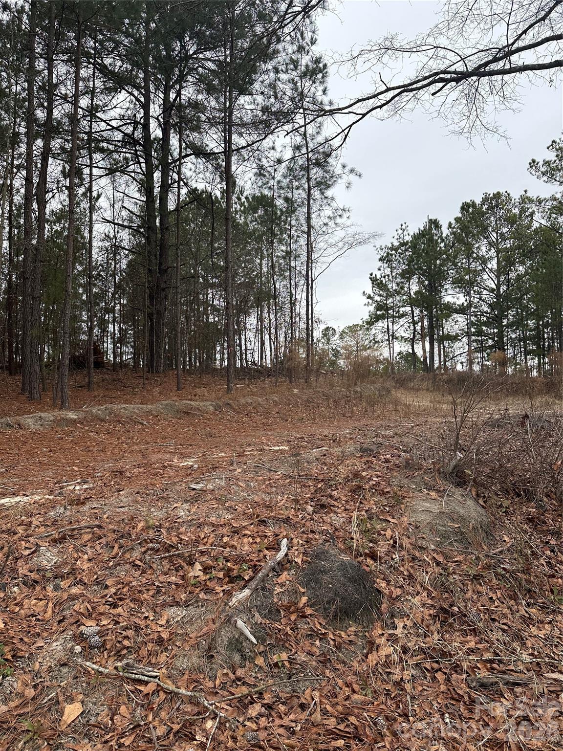 1626 Yankee Road Lugoff, SC 29078 - Photo 2 of 3