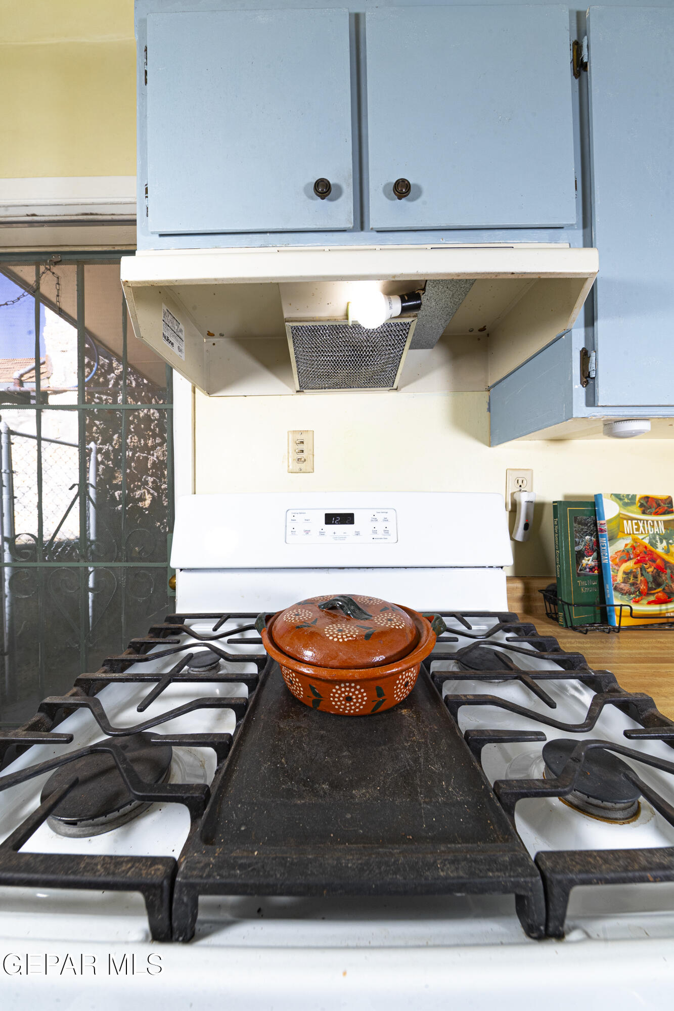 3329 Harrison Avenue El Paso, TX 79930 - Photo 16 of 38 a room with furniture and a potted plant