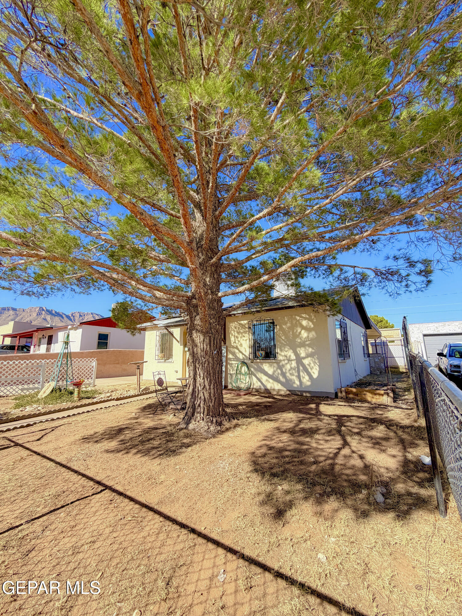 3329 Harrison Avenue El Paso, TX 79930 - Photo 3 of 38 a view of a yard with a tree