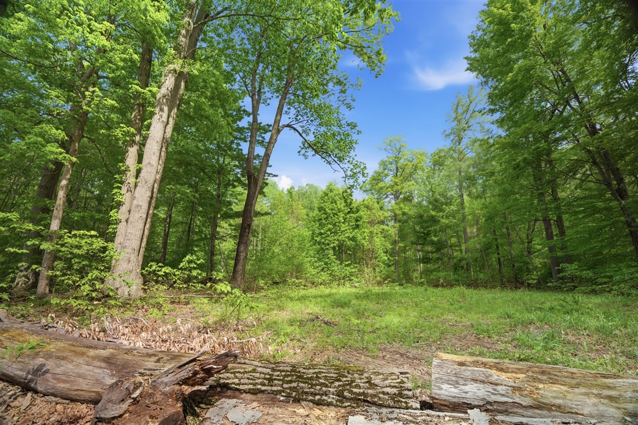 0 Red Arrow Highway Lakeside, MI 49128 - Photo 5 of 25