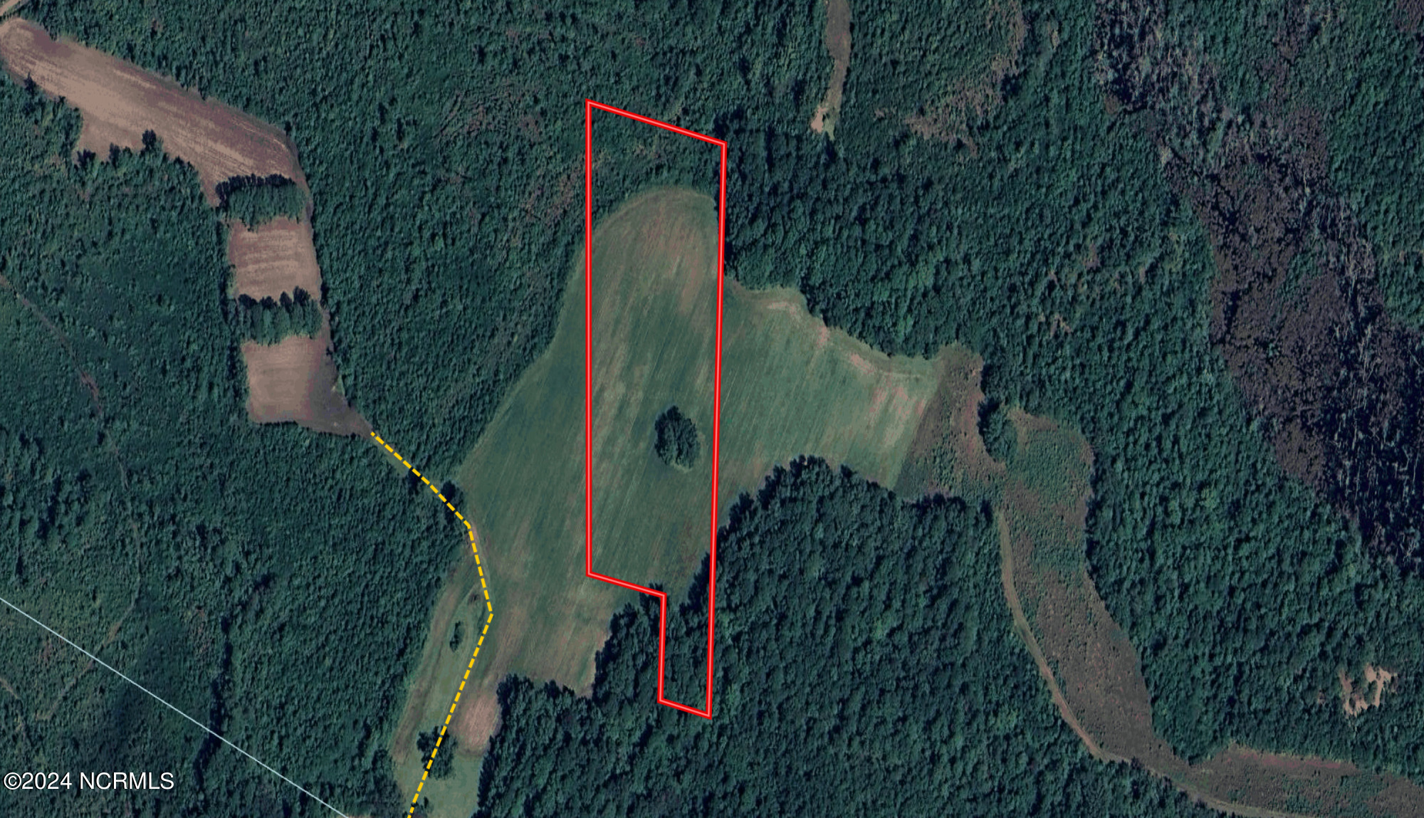 Tbd Tbd Pocosin Road Council, NC 28434 - Photo 1 of 25 Aerial View