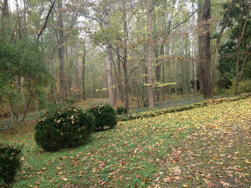 19200 Davidson-Concord Road Davidson, NC 28036 - Photo 1 of 7 Gallery Image 1