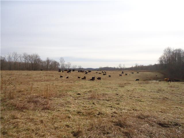 1650 Bunker Hill Road Pulaski, TN 38478 - Photo 5 of 20 Gallery Image 5