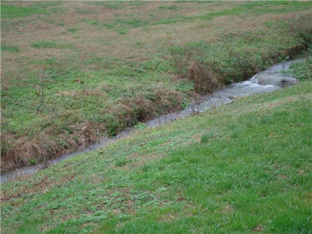 1650 Bunker Hill Road Pulaski, TN 38478 - Photo 8 of 20 Gallery Image 8