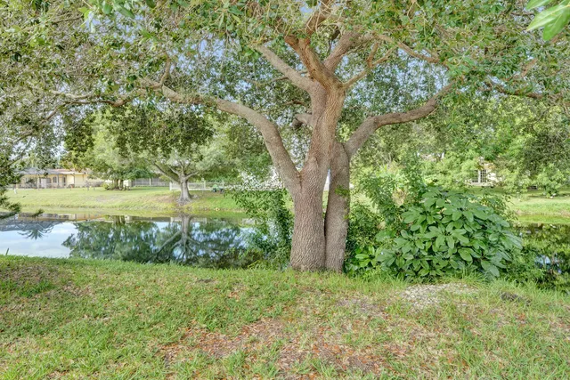 a view of outdoor space and yard