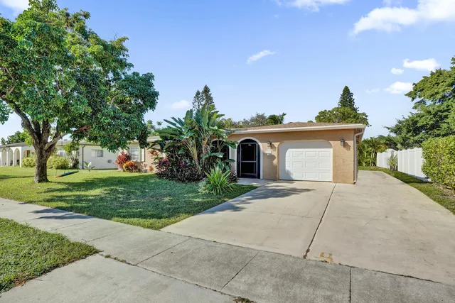 a view of a yard in front of a house with a large tree