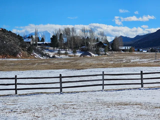 a view of a yard with a bench
