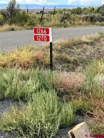 a view of a lake with houses