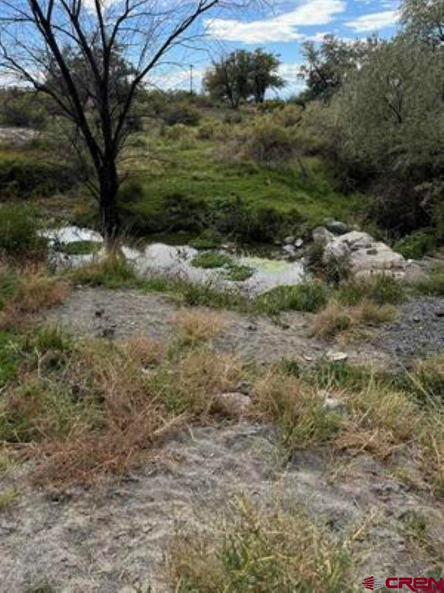 1266 Southwest 11th Avenue Cedaredge, CO 81413 - Photo 5 of 10 a view of a trees with a yard