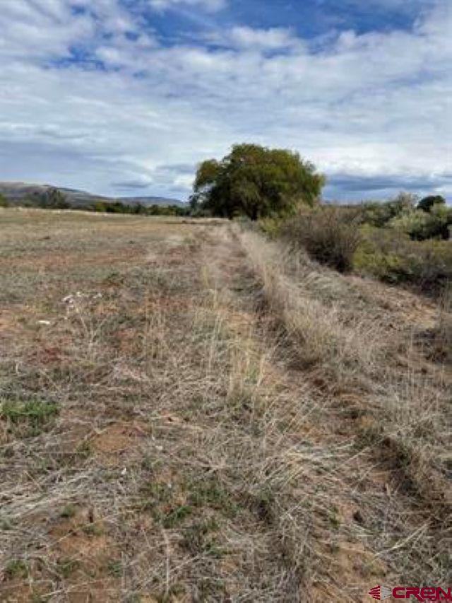 1266 Southwest 11th Avenue Cedaredge, CO 81413 - Photo 7 of 10 a view of an ocean beach