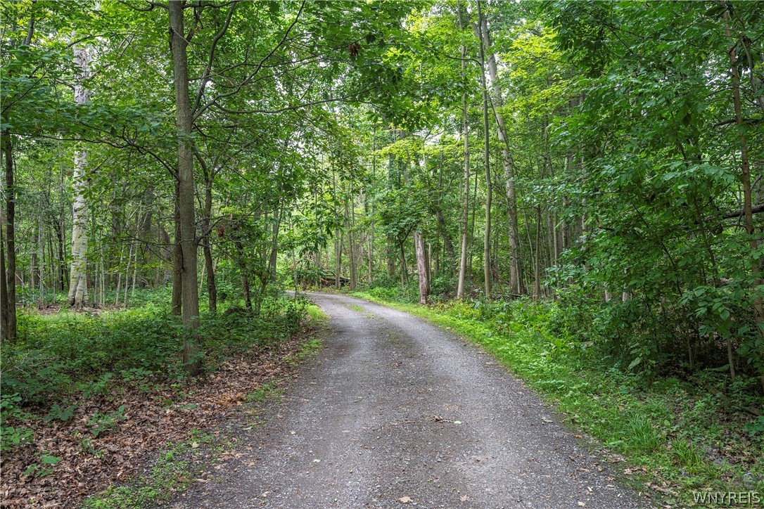 6-7 Lotus Bay Road Brant, NY 14081 - Photo 50 of 50 Gallery Image 50