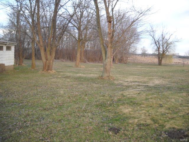 2928 Blue Ridge Road Brighton, IL 62012 - Photo 3 of 3