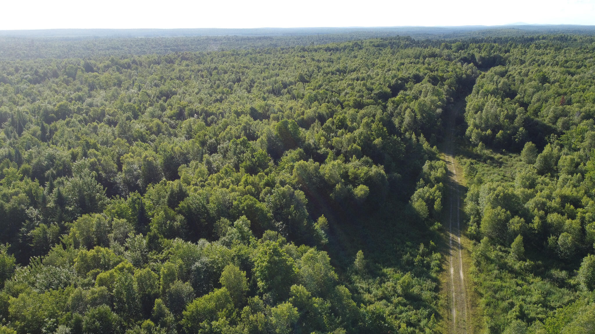 171 Reed Plt Me 04497 Wytopitlock, ME 04497 - Photo 7 of 29 dji_fly_20260716_175422_742_178423893315