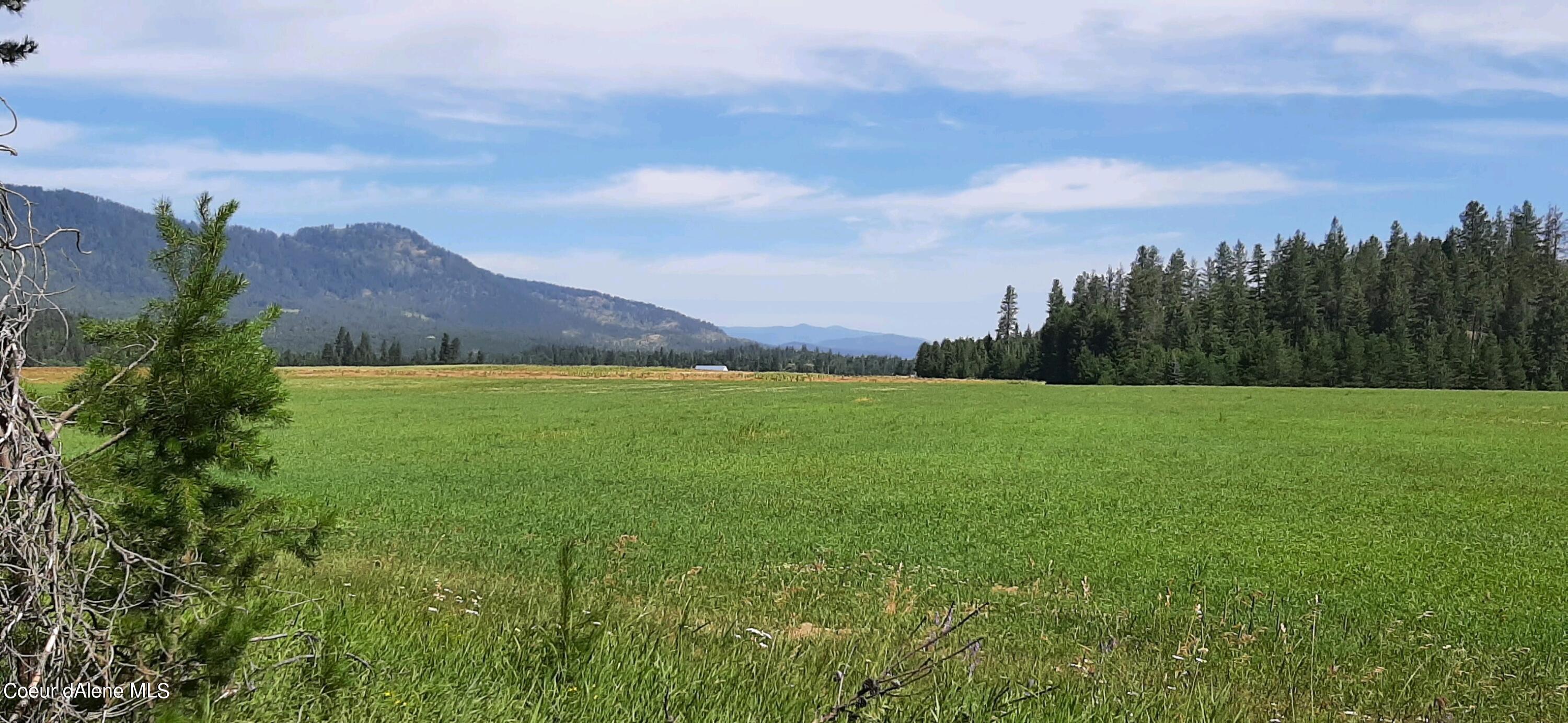 Nna Nna Bayview Road Athol, ID 83801 - Photo 1 of 1 9.6 Acres