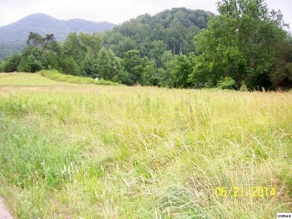 3 Thomas Headrick Road Sevierville, TN 37862 - Photo 1 of 1 Gallery Image 1