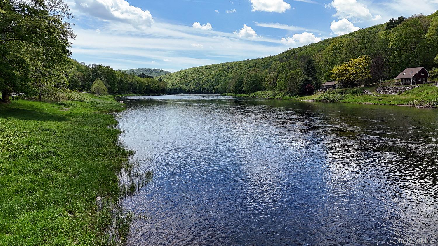 860 River Road Callicoon, NY 12723 - Photo 2 of 45 a view of a lake with a yard