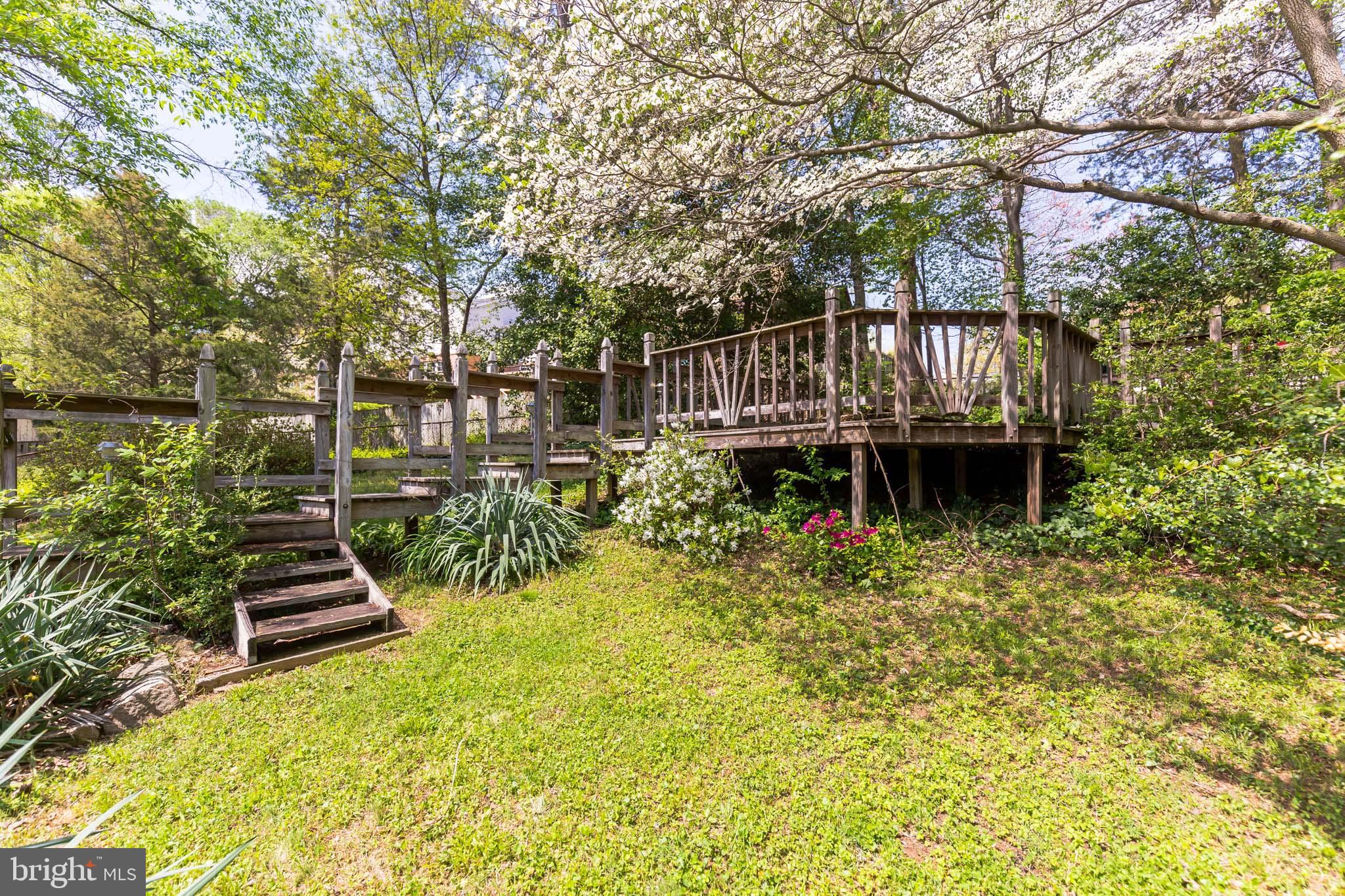 7020 Hadlow Drive Springfield, VA 22152 - Photo 28 of 29 a view of a garden with plants