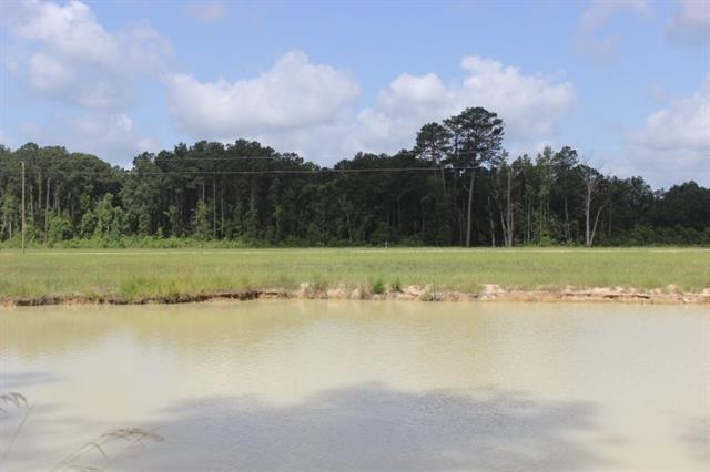 29644 Billy Joe Road Independence, LA 70443 - Photo 4 of 5