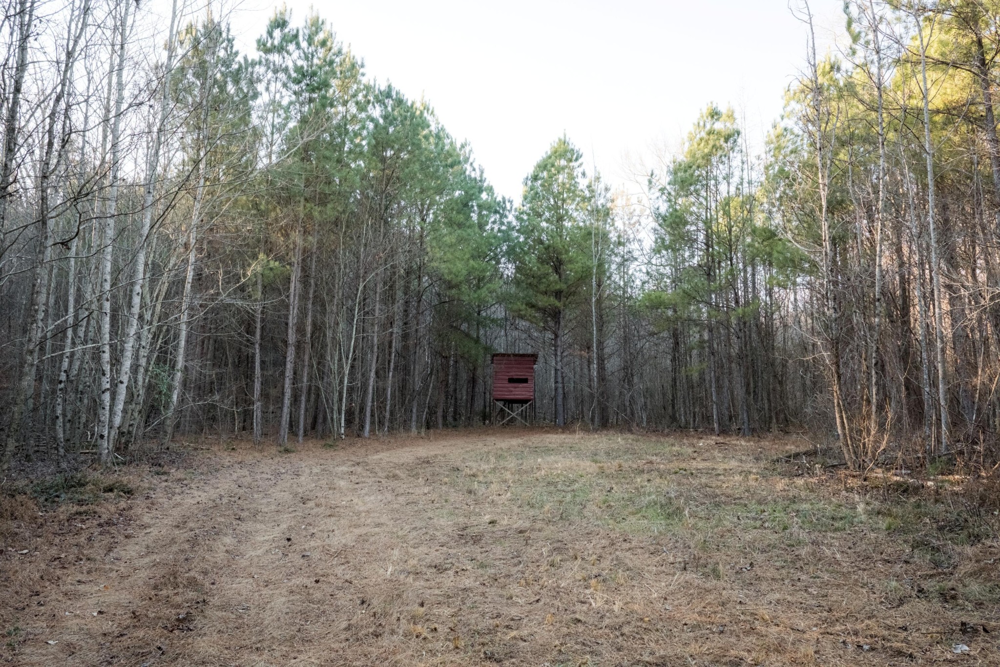 0 Floyd Springs Road Northeast Armuchee, GA 30105 - Photo 16 of 36 Gallery Image 16