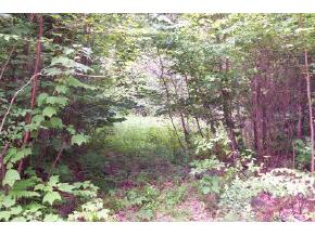Lower Pratt Pond Road New Ipswich, NH 30371 - Photo 2 of 2 Gallery Image 2