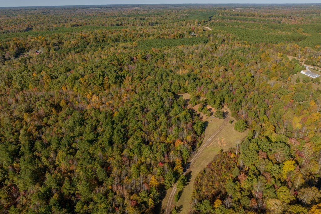 Crymes Road, Unit 13A Keysville, VA 23947 - Photo 20 of 39 Gallery Image 20