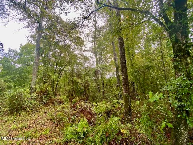 $25,000 | Dogwood Trail, McComb, MS 39648