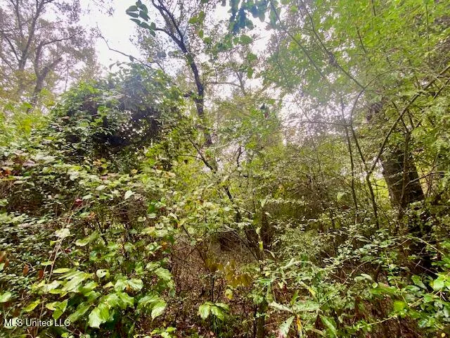 $25,000 | Dogwood Trail, McComb, MS 39648