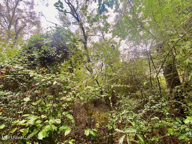 Dogwood Trail McComb, MS 39648 - Photo 3 of 7 IMG_6939