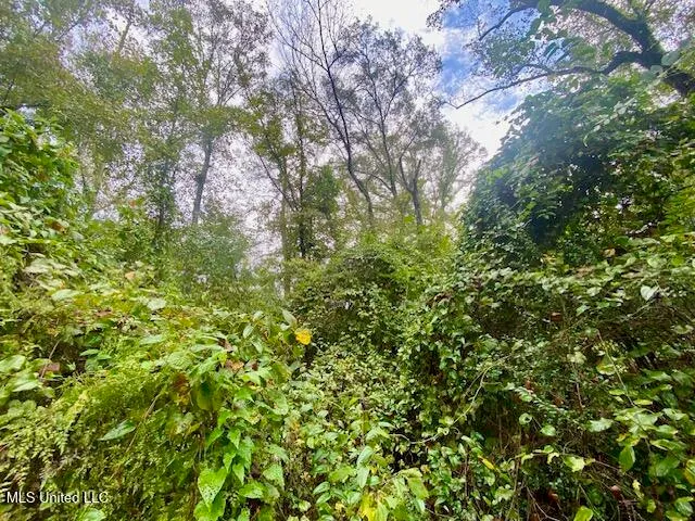 $25,000 | Dogwood Trail, McComb, MS 39648