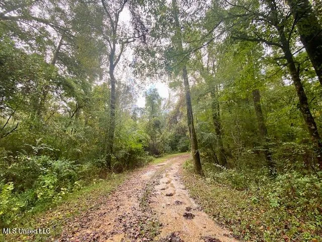 $25,000 | Dogwood Trail, McComb, MS 39648