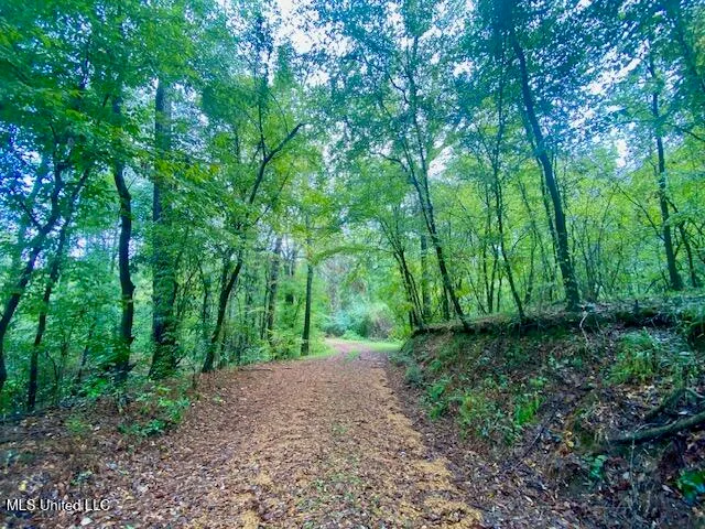 $25,000 | Dogwood Trail, McComb, MS 39648