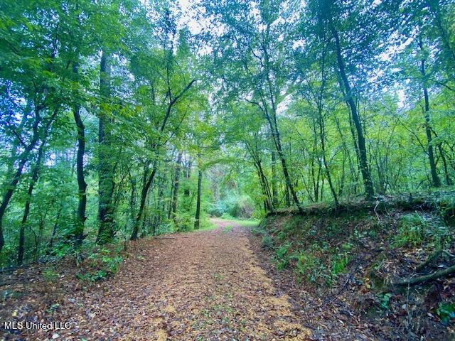 Dogwood Trail McComb, MS 39648 - Photo 7 of 7 IMG_6943