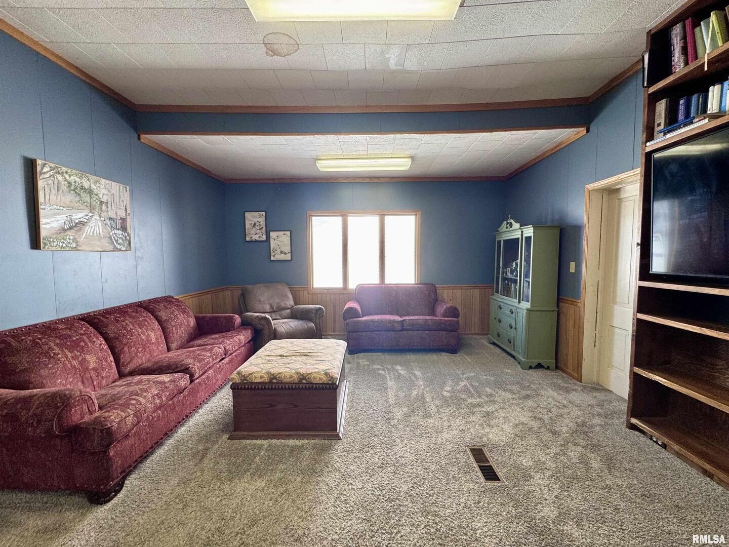 1415 4th Street Fulton, IL 61252 - Photo 24 of 58 a living room with furniture and a book shelf