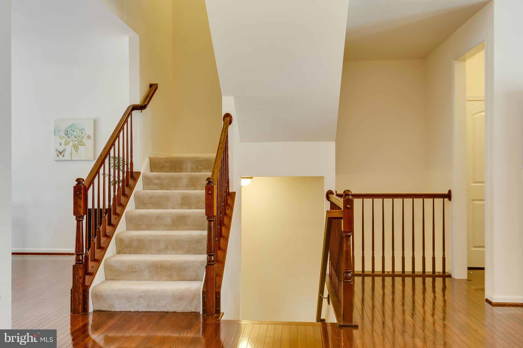 22688 Flowing Spring Square Ashburn, VA 20148 - Photo 19 of 30 Interior (General)