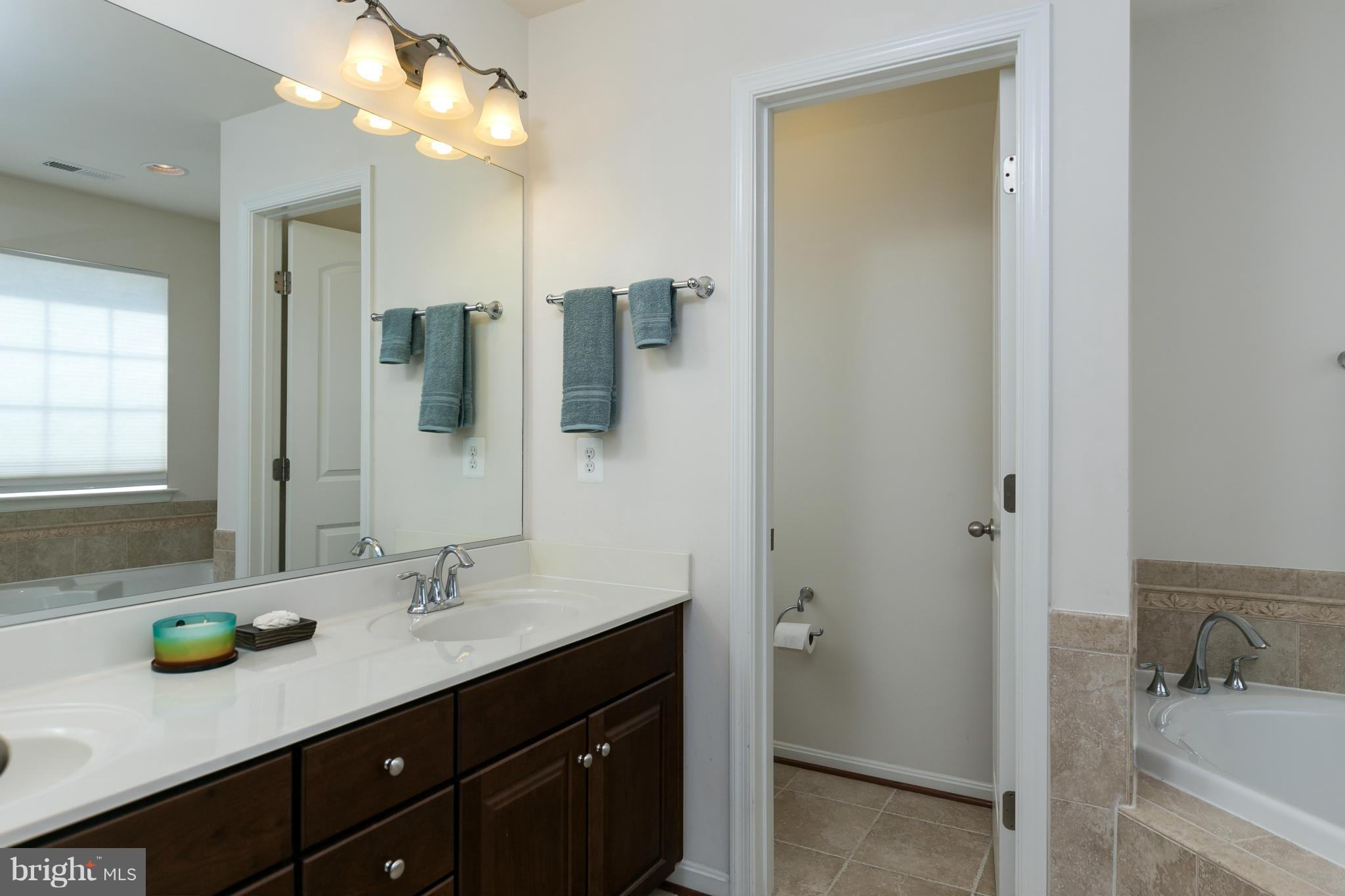 22688 Flowing Spring Square Ashburn, VA 20148 - Photo 20 of 30 Bath (Master)