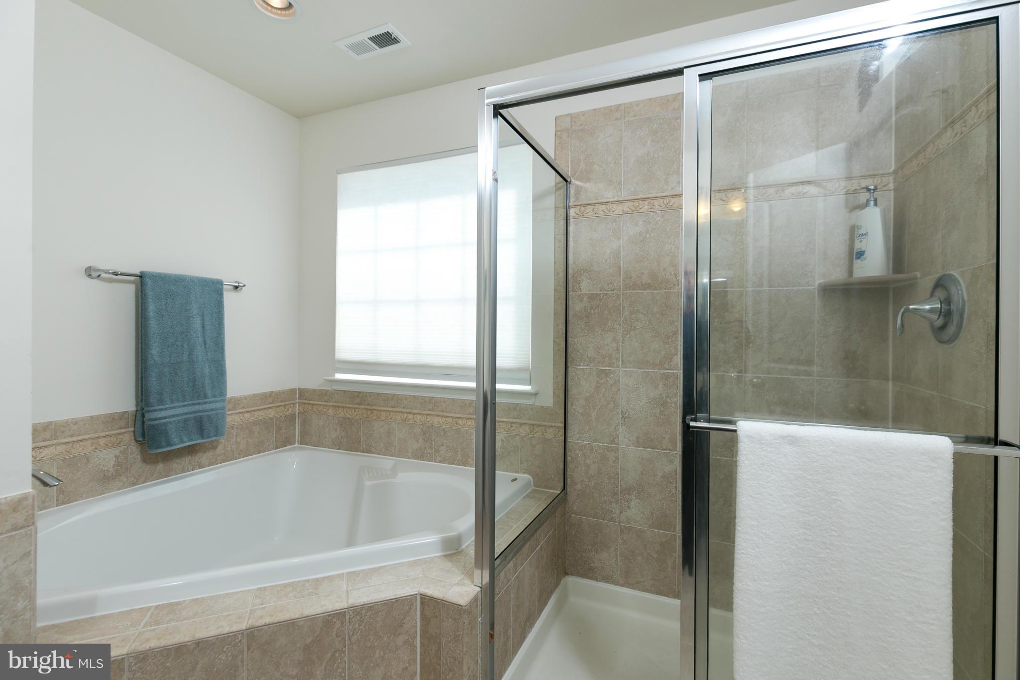 22688 Flowing Spring Square Ashburn, VA 20148 - Photo 21 of 30 Bath (Master)
