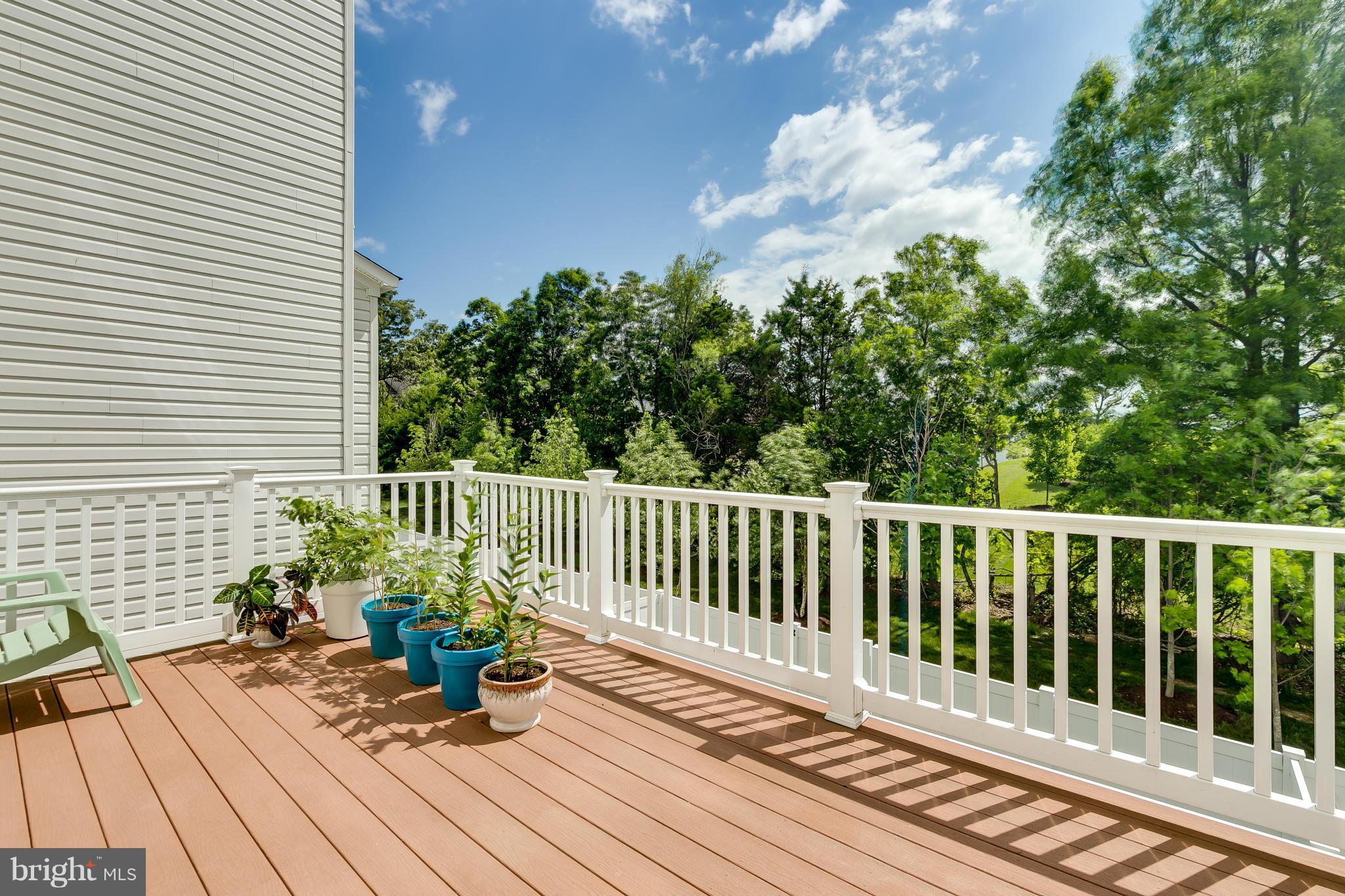 22688 Flowing Spring Square Ashburn, VA 20148 - Photo 27 of 30 Exterior (Rear)
