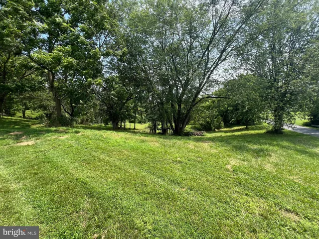 a view of a green field with lots of bushes