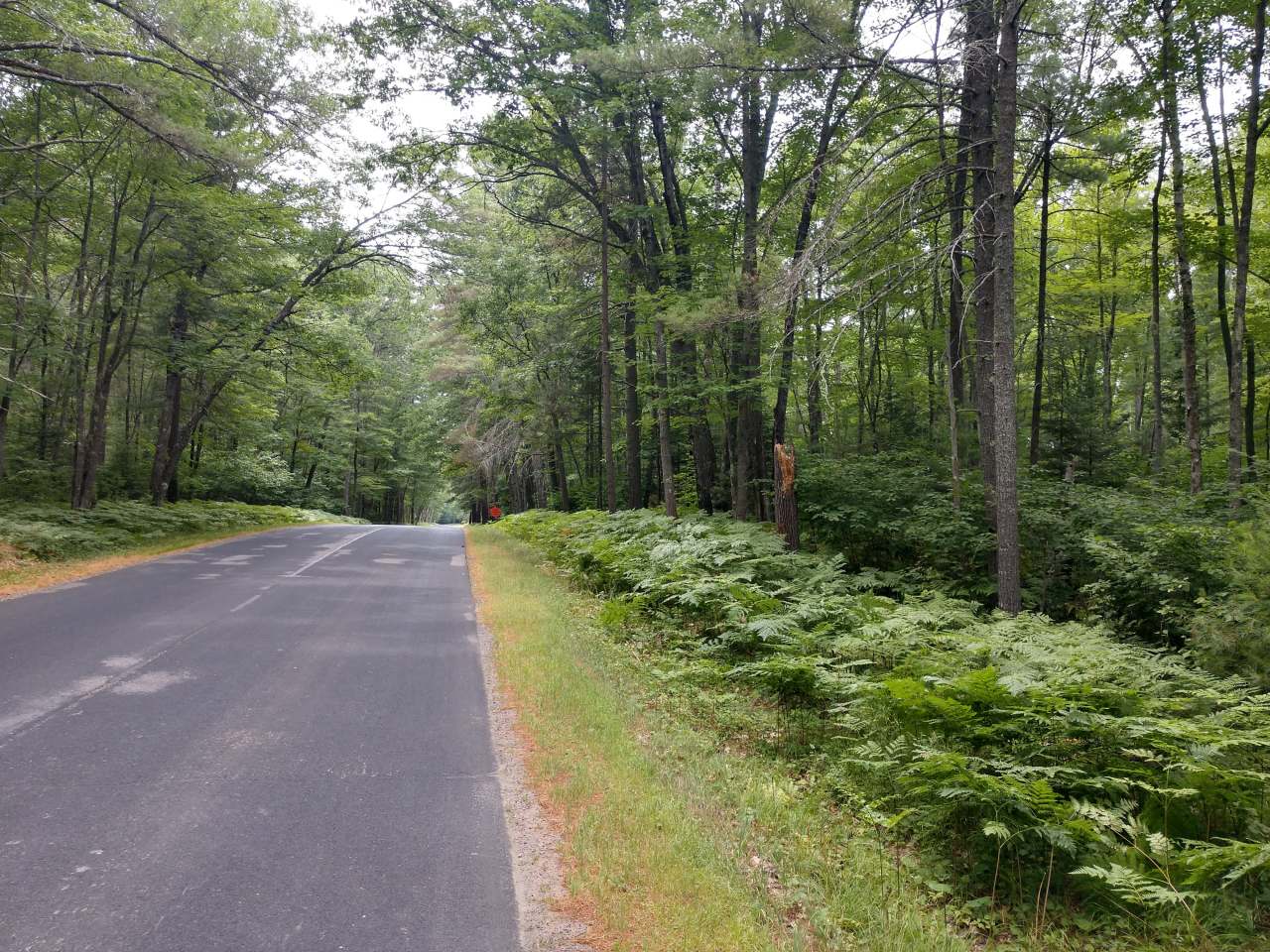 On Chain O Lakes Road Eagle River, WI 54521 - Photo 1 of 6 Gallery Image 1