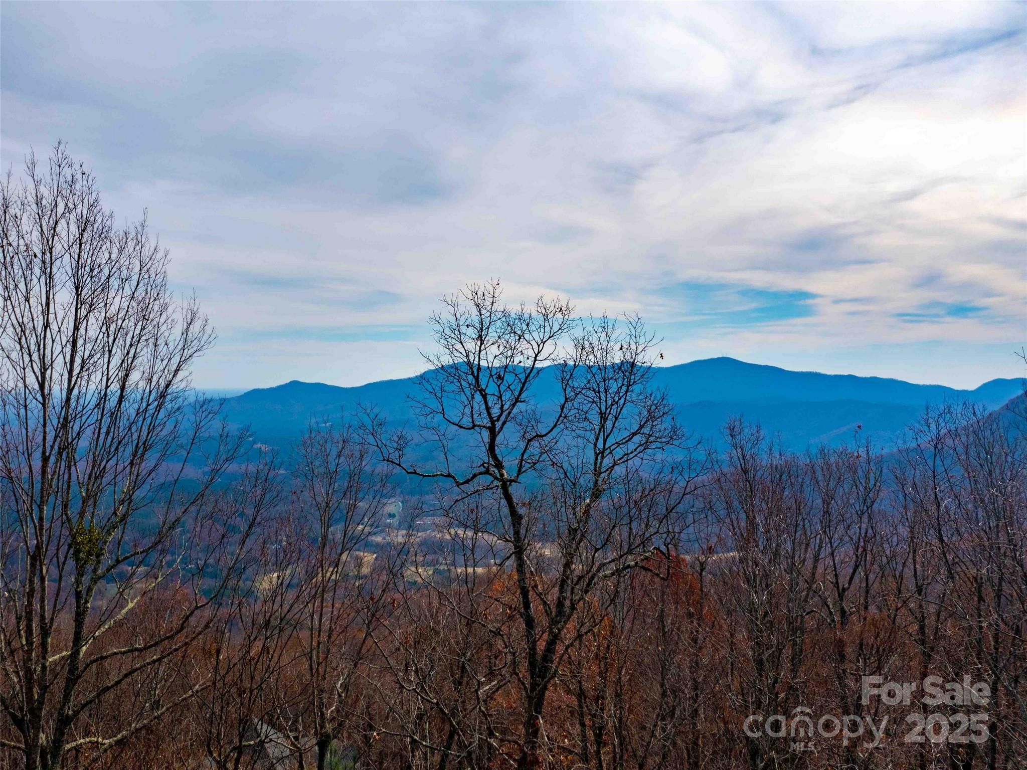 Lot 253 Haddington Dr Mill Spring Mill Spring, NC 28756 - Photo 11 of 16 a view of a yard with wooden fence