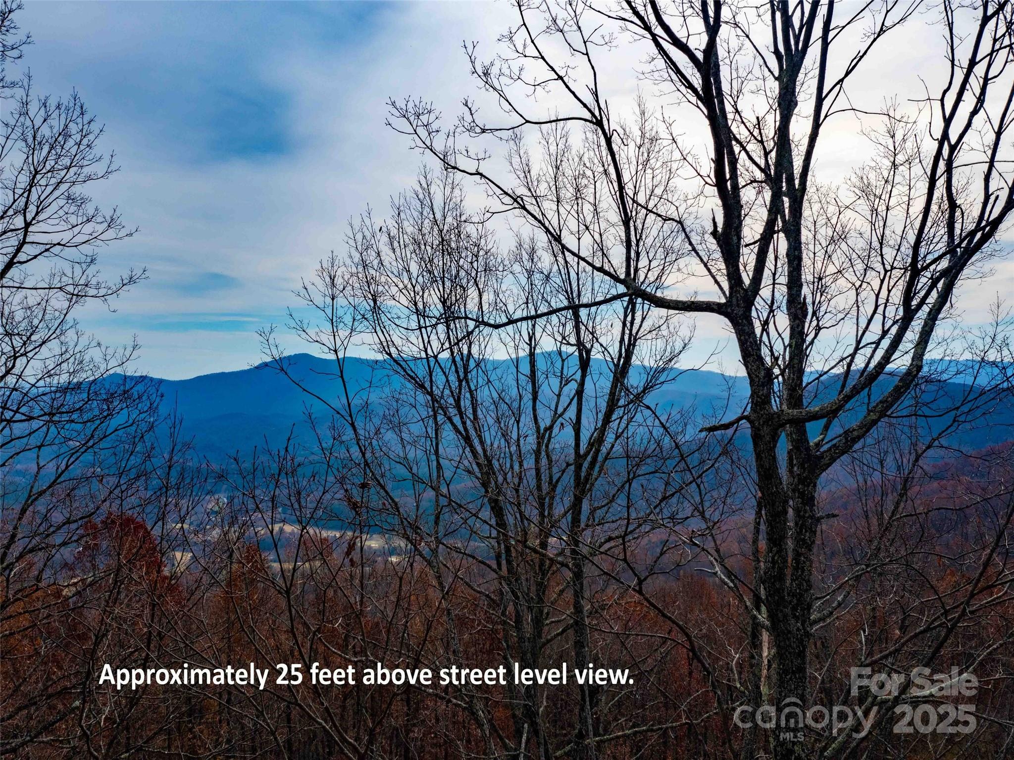 Lot 253 Haddington Dr Mill Spring Mill Spring, NC 28756 - Photo 8 of 16 a view of backyard with tree