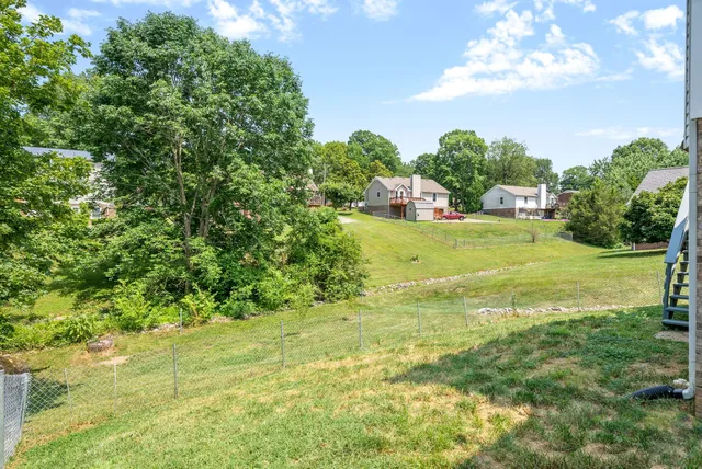 a view of a big yard with plants and large trees