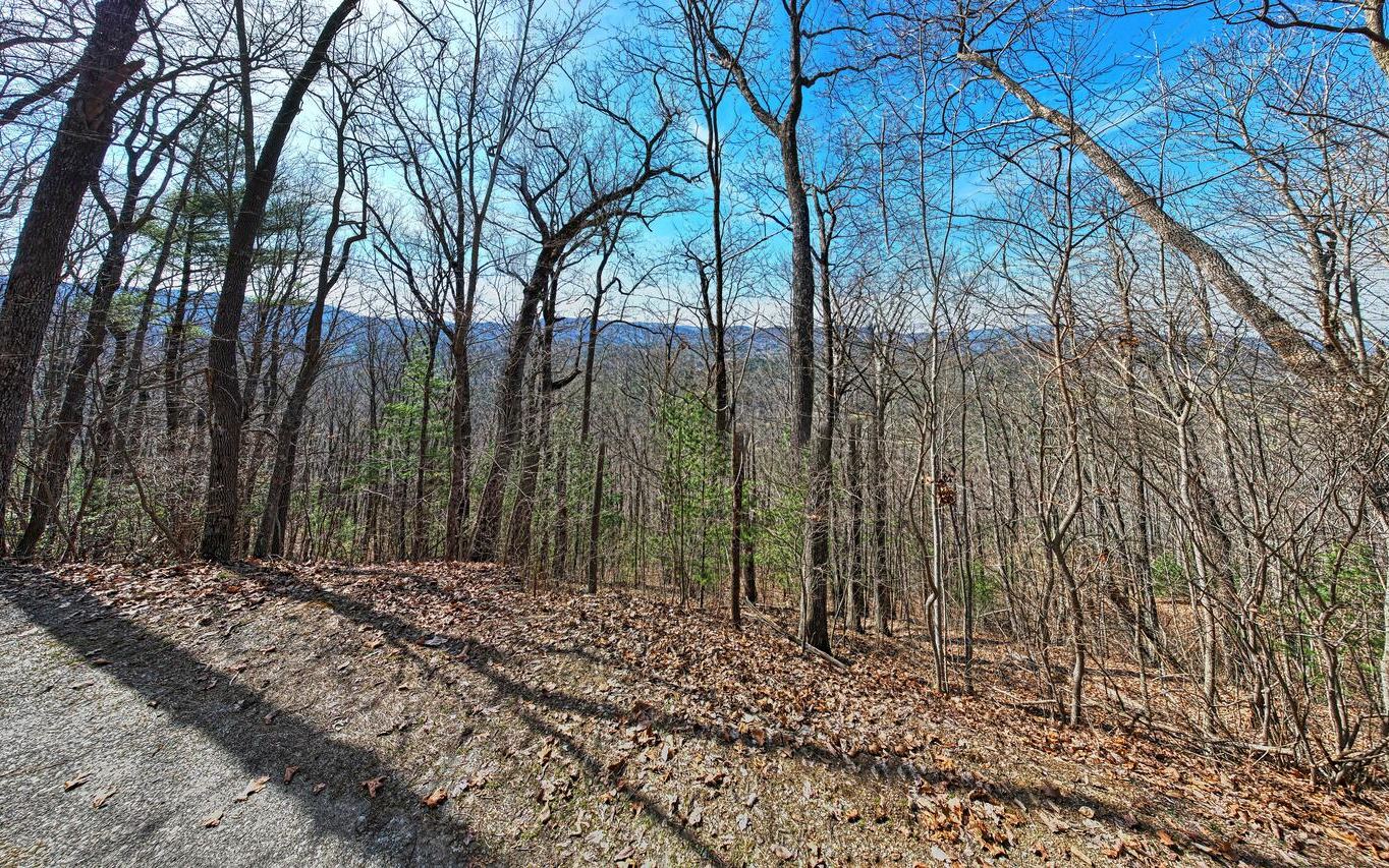 32 Mount Pisgah Road Blue Ridge, GA 30513 - Photo 2 of 4 Additional View